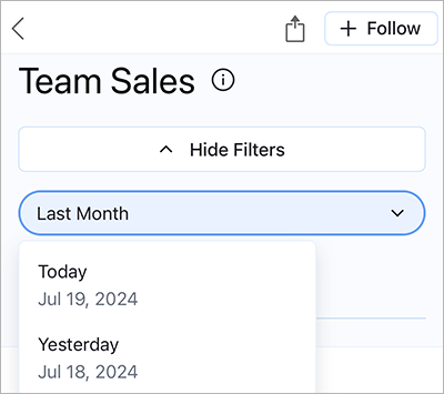 Metric time filter options