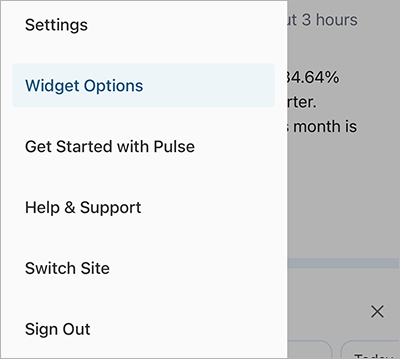 Mobile navigation panel with Widget Options highlighted