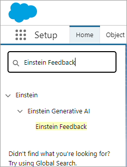 Cuadro de búsqueda rápida de configuración de organización de Salesforce que busca la página de comentarios de Einstein.