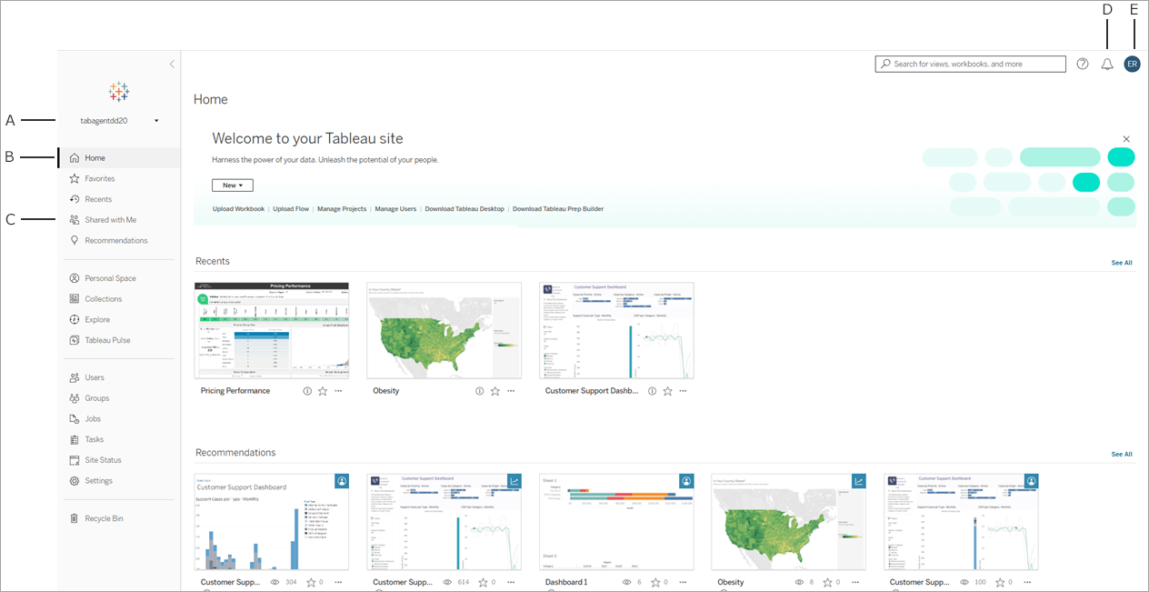Home page