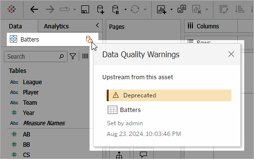 Data quality warning in the Data Pane