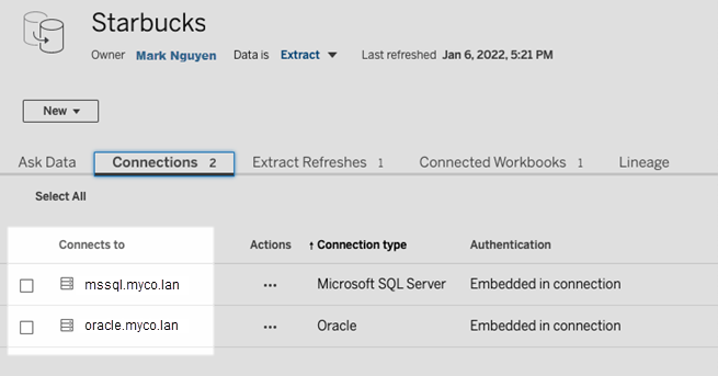 Connections tab with list of two connections to databases, Microsoft SQL Server and Oracle.