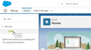 Search field with CORS entered as a search term, and the CORS search result shown.